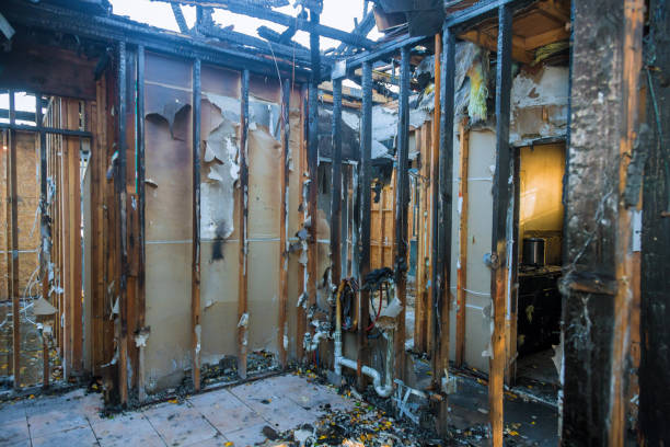 Professional Fire Damage Removal technician working in Virginia, VA